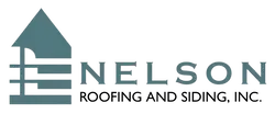 Nelson BSG Logo